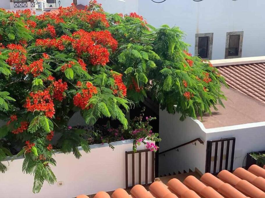 Villa Garoe Puerto de las Nieves Esterno foto
